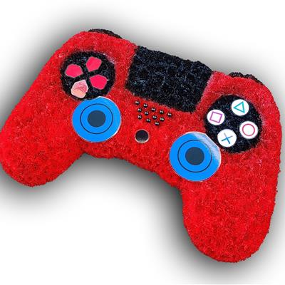 PlayStation Controller, red