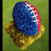 Rugby Ball, red, blue