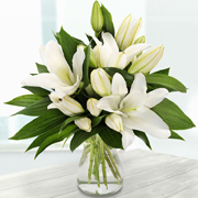 Pure White Lilies (vase included)