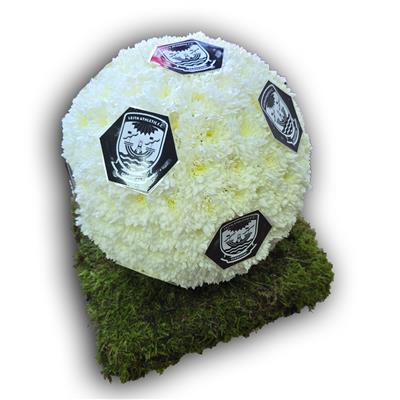 Football Tribute 3D, any Football Club